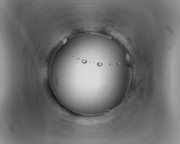 X0000115500017200911061336