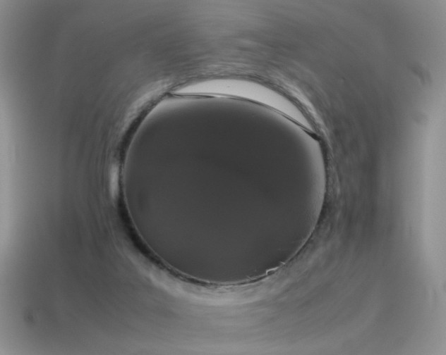 X0000115500019200911061336