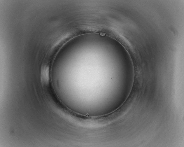 X0000115500020200911061336