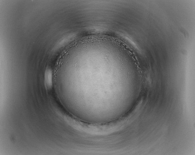 X0000115500022200911061336