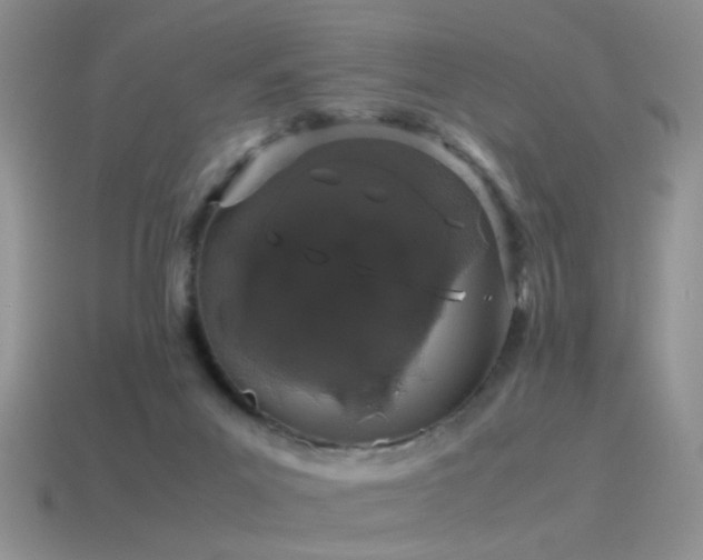 X0000115500023200911061336
