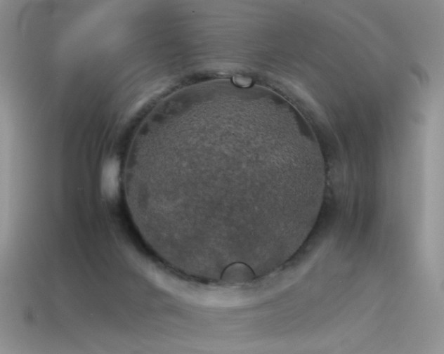 X0000115500024200911061336