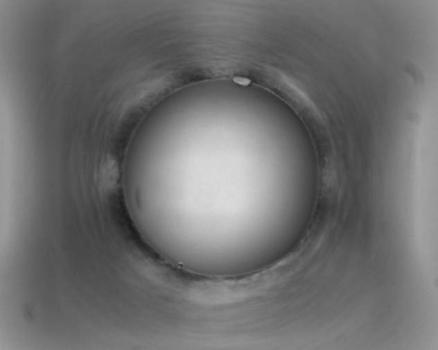 X0000115500025200911061336