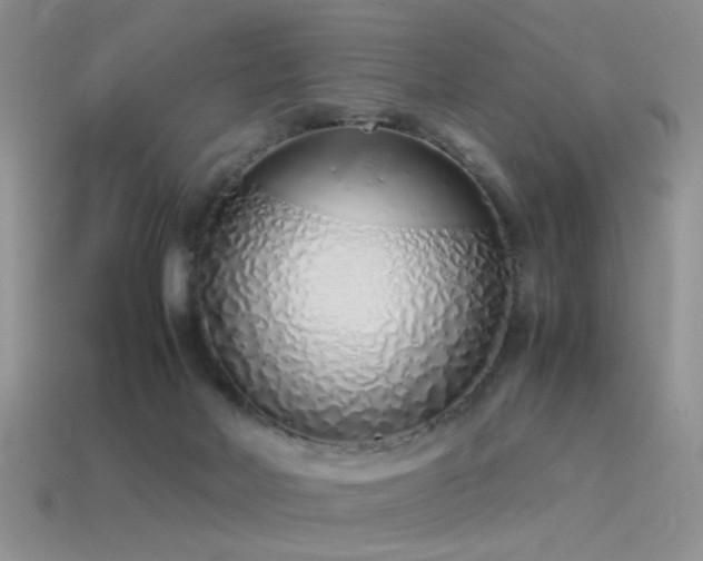 X0000115500026200911061336