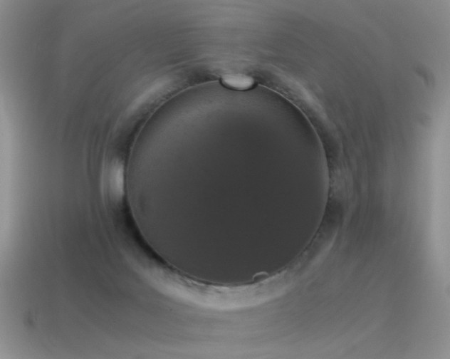 X0000115500027200911061336
