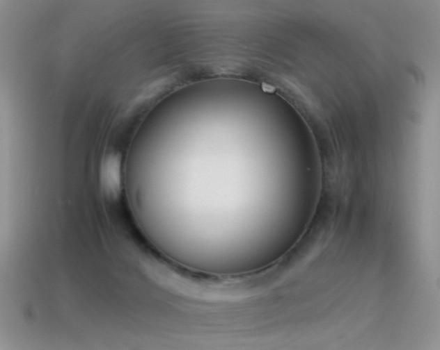 X0000115500028200911061336