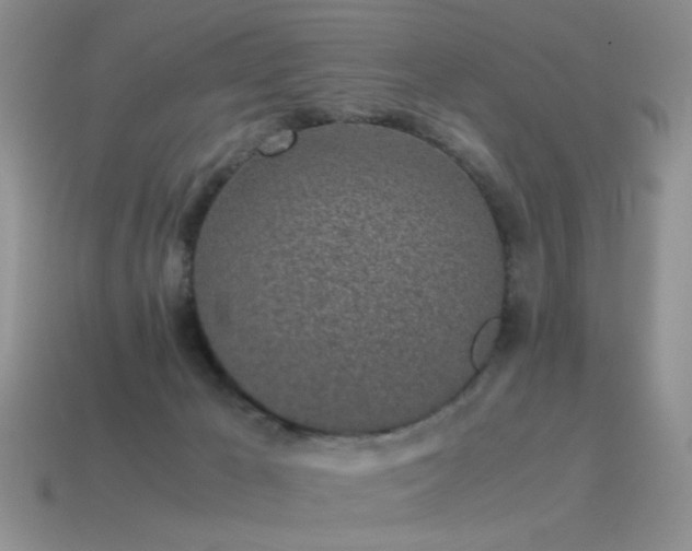 X0000115500029200911061336