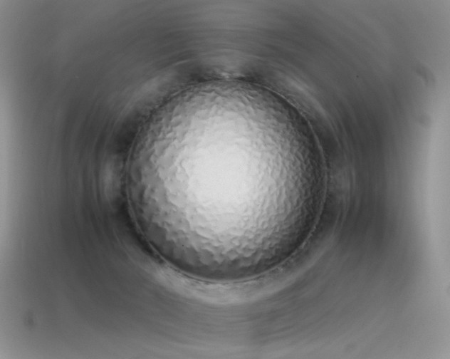 X0000115500030200911061336