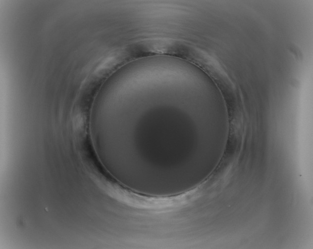 X0000115500031200911061336
