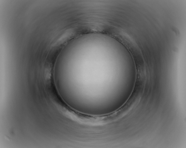 X0000115500032200911061336