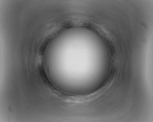 X0000115500033200911061336