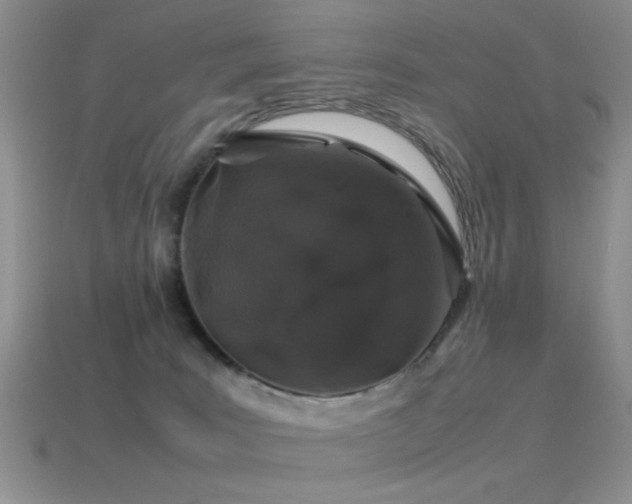 X0000115500035200911061336