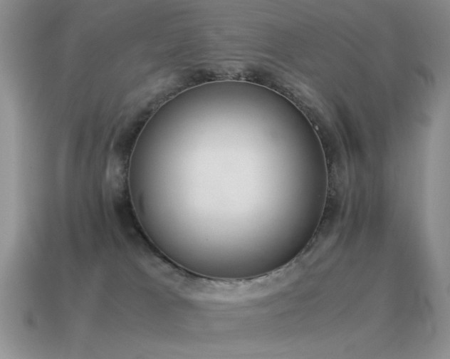 X0000115500037200911061336