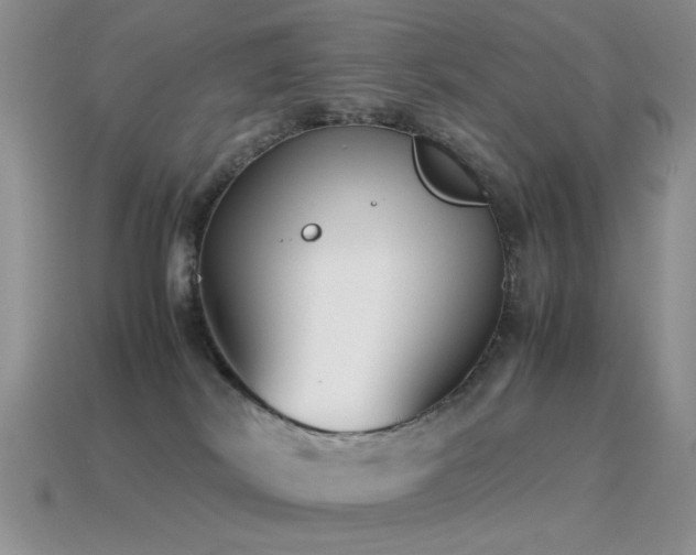X0000115500038200911061336