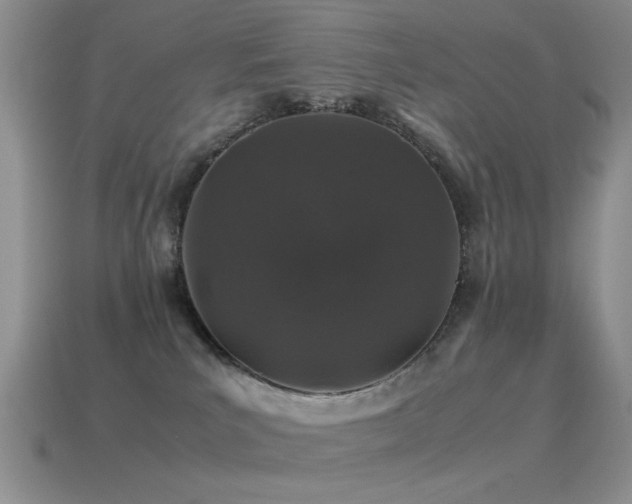 X0000115500039200911061336