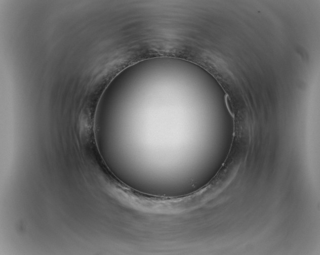 X0000115500040200911061336