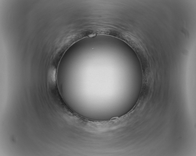 X0000115500041200911061336