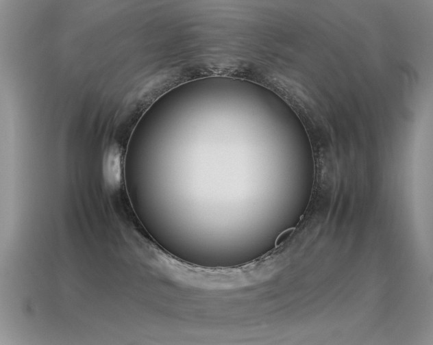 X0000115500042200911061336
