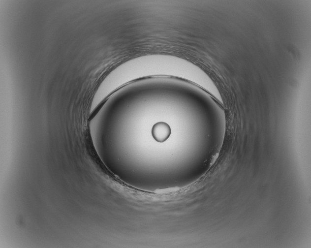 X0000115500043200911061336