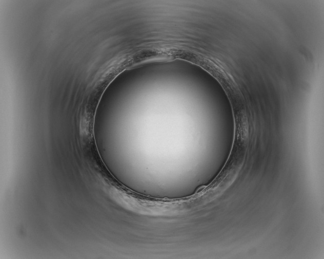 X0000115500044200911061336