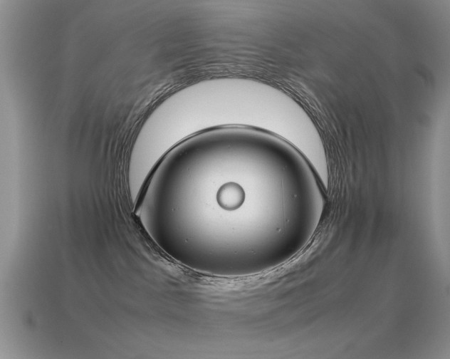 X0000115500045200911061336