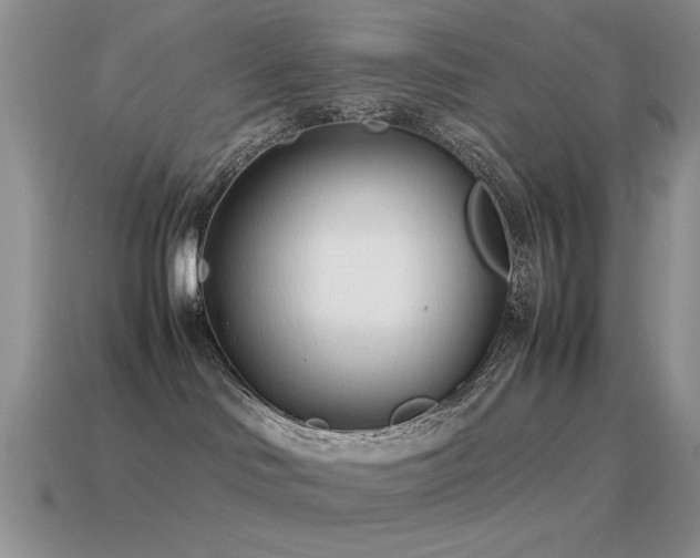 X0000115500046200911061336
