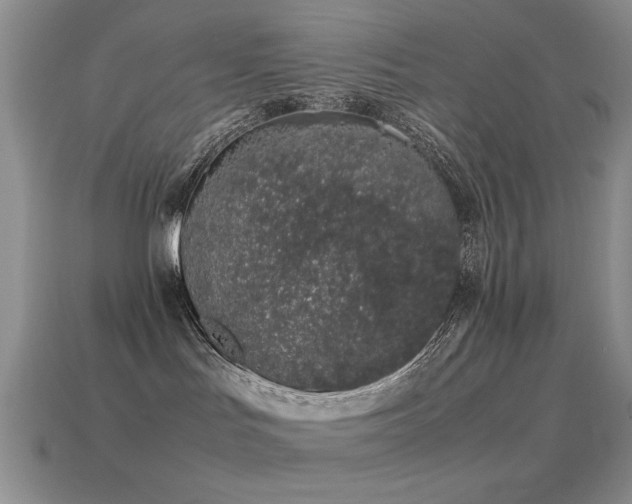 X0000115500047200911061336