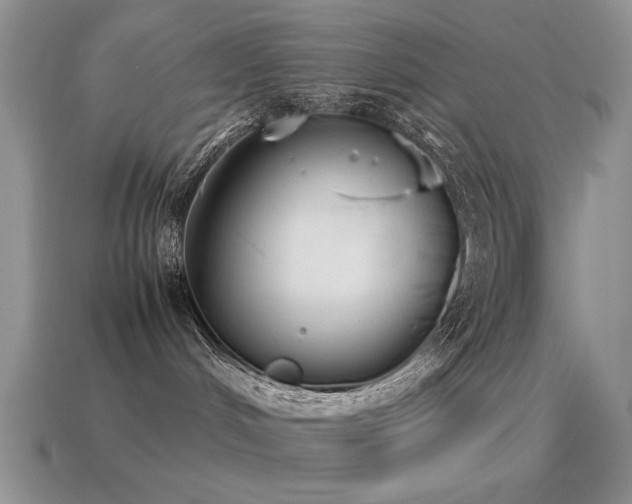 X0000115500048200911061336