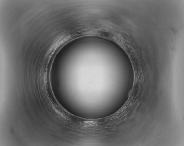 X0000115500050200911061335