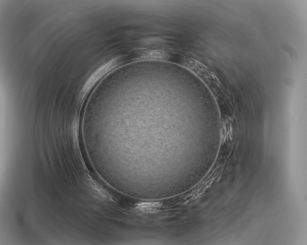 X0000115500051200911061335