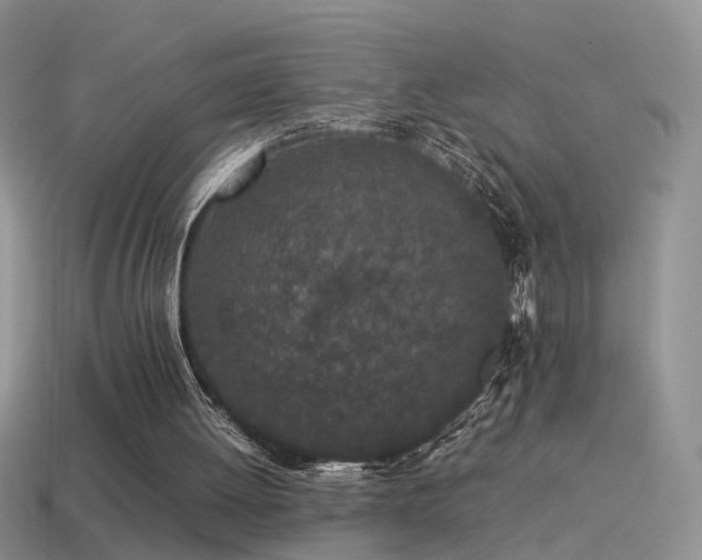 X0000115500052200911061335