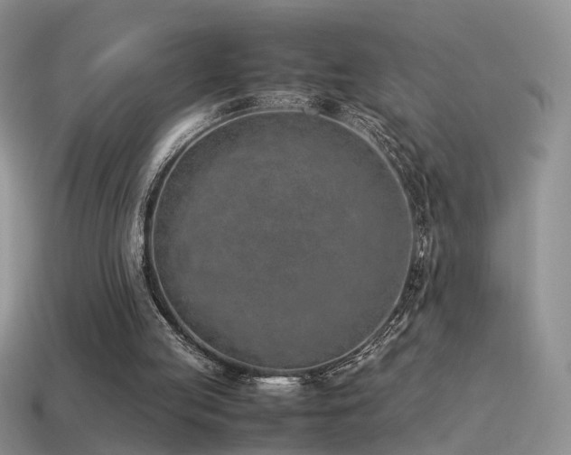 X0000115500053200911061335