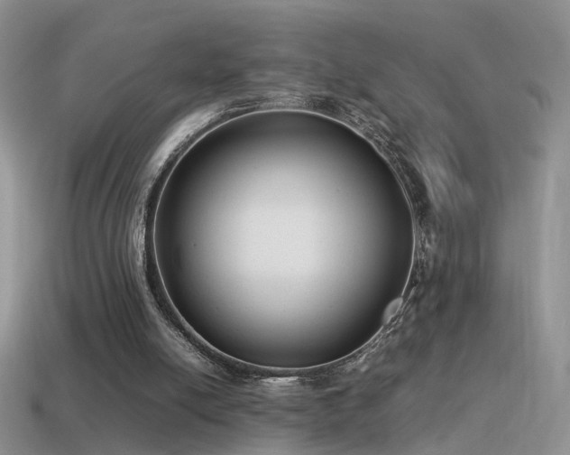 X0000115500054200911061335