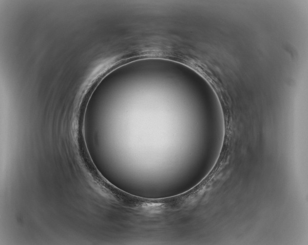 X0000115500055200911061335