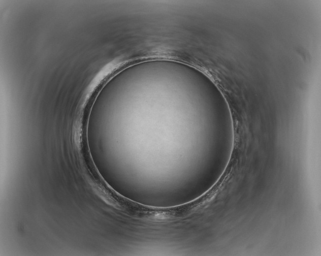 X0000115500056200911061335