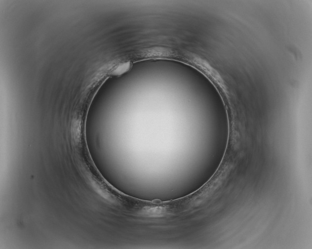 X0000115500057200911061335
