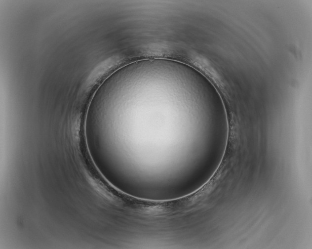 X0000115500058200911061335