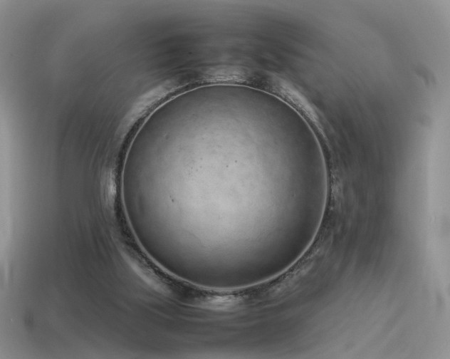 X0000115500059200911061335