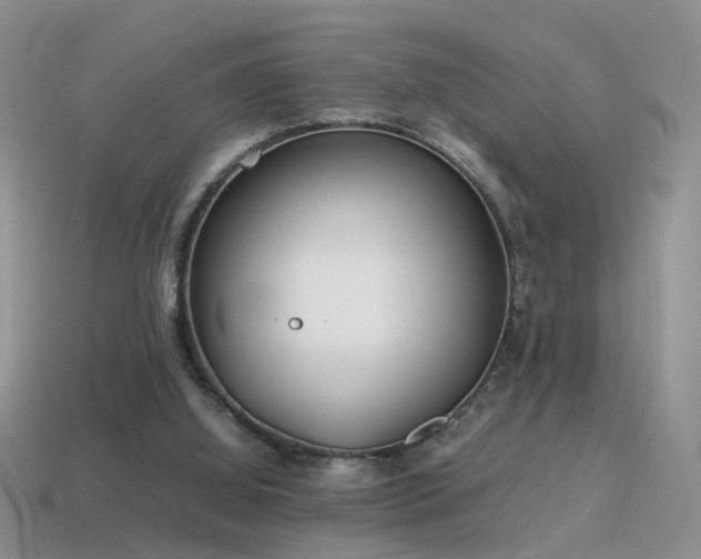 X0000115500060200911061335