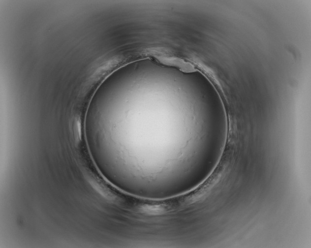 X0000115500061200911061335
