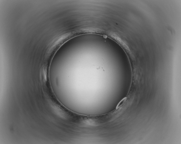 X0000115500062200911061335
