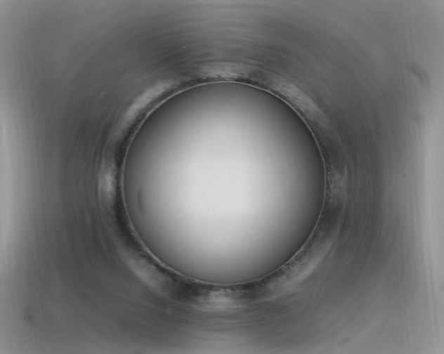X0000115500064200911061336