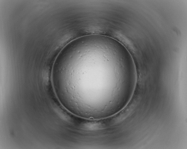 X0000115500065200911061336