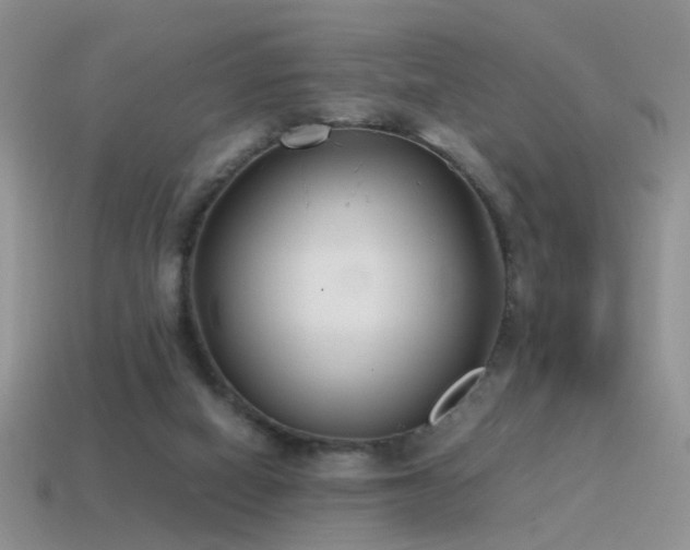 X0000115500066200911061336