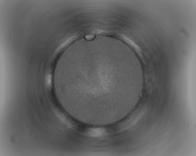 X0000115500067200911061336
