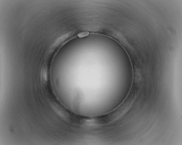 X0000115500068200911061336