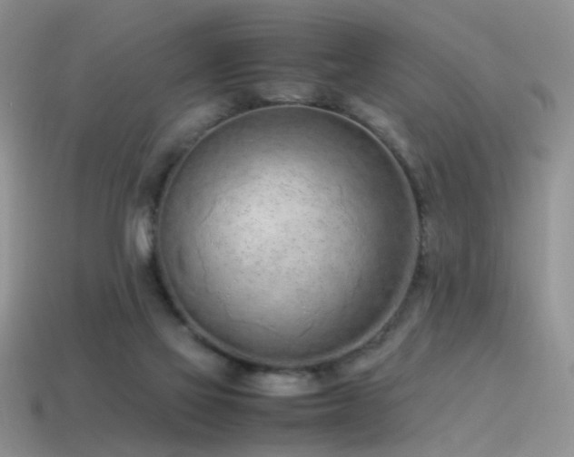 X0000115500069200911061336
