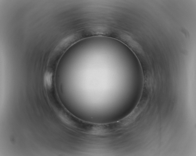 X0000115500070200911061336