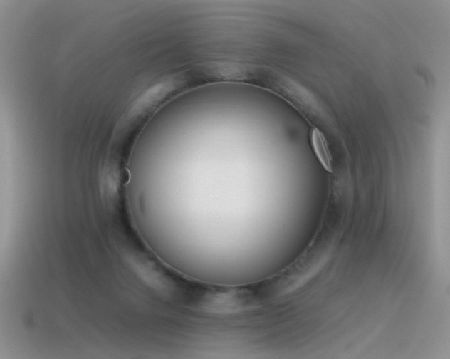X0000115500072200911061336