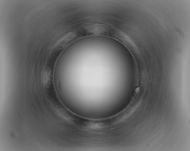 X0000115500073200911061336
